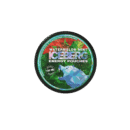 ICEBERG Energy Watermelon Mint