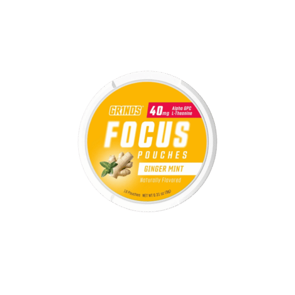 GRINDS Focus Ginger Mint